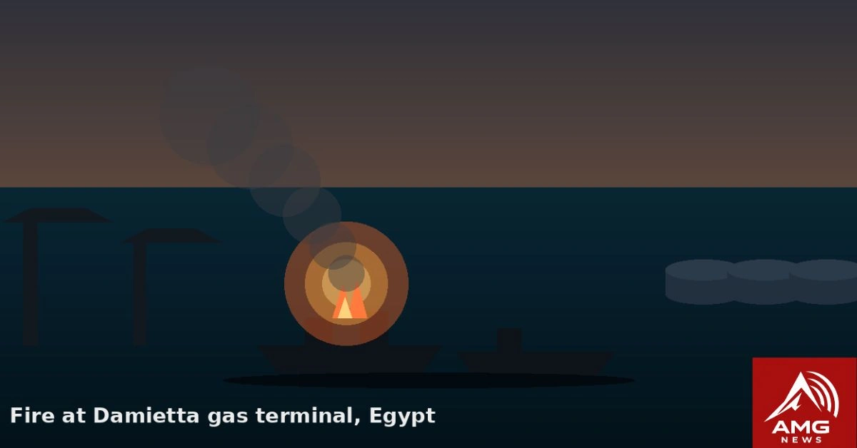 Egypt Confirms Drone Caused Fire on Two Gas Vessels at Damietta Port